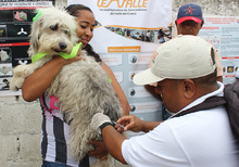 UESVALLE Contribuyendo a la Salud del Valle