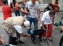 La UES VALLE realiza jornadas de vacunación canina y felina en el departamento