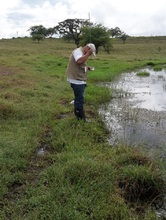 La UES VALLE realiza monitoreo de criaderos del mosquito transmisor de la malaria en el municipio de Zarzal