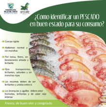 Recomendaciones para el consumo del pescado