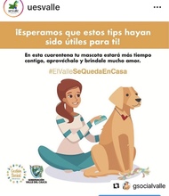 Tips para cuidar tu mascota en cuarentena