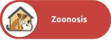 Icono del proceso de zoonosis