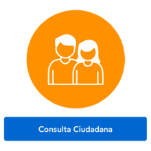 Consulta ciudadana