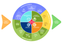 Mapa de procesos 2024