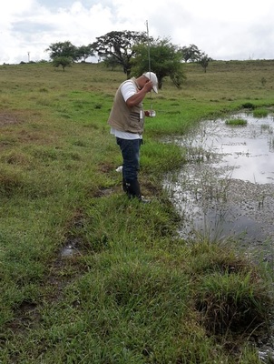 La UES Valle realiza monitoreo de criaderos del mosquito transmisor de la malaria en el municipio de Zarzal