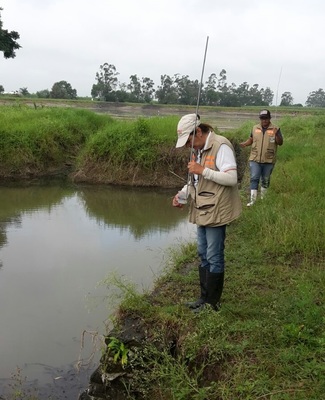 La UES VALLE realizó caracterización de criaderos del mosquito anopheles en el municipio de Zarzal