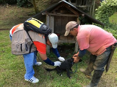 La UESVALLE inició la vacunación antirrábica canina y felina en el departamento