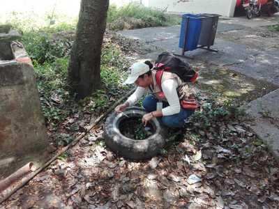 La UESVALLE y el municipio de Cartago le hacen frente a los  mosquitos