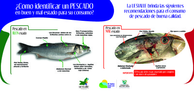 Evite intoxicaciones por el consumo de pescado y sus derivados en Semana Santa