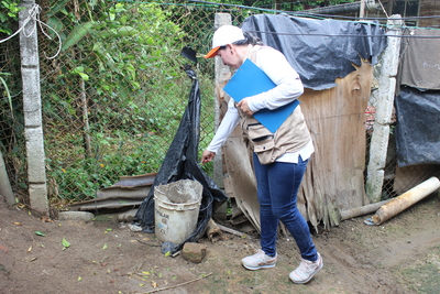 Más de 26 mil viviendas serán intervenidas para el control de roedores plaga