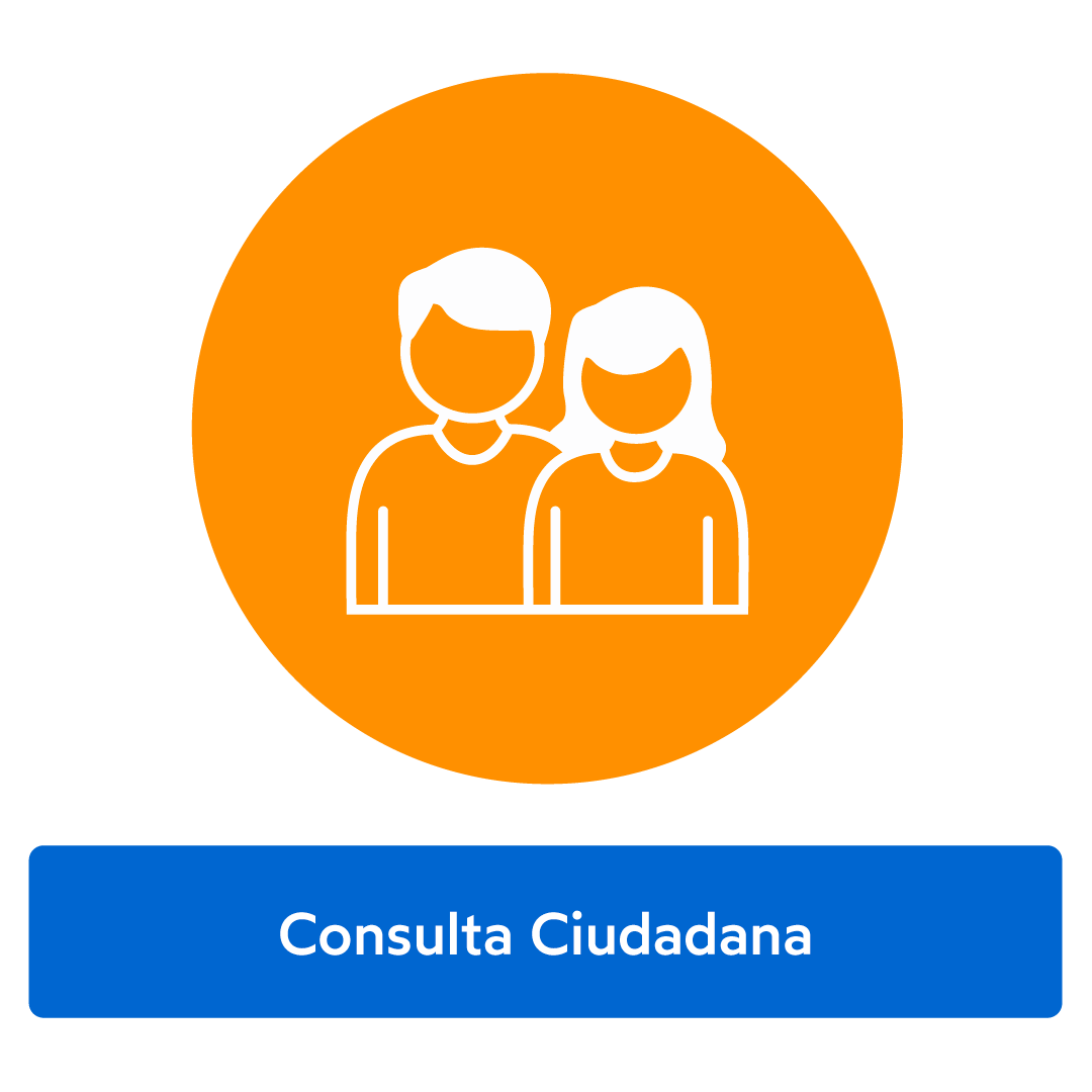 Consulta ciudadana