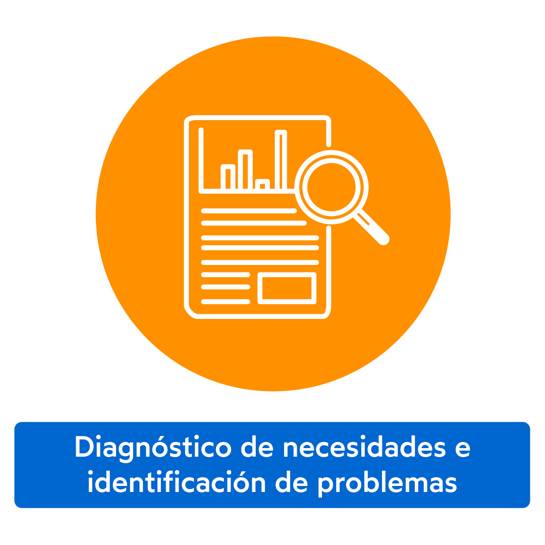 Diagnostico e identificacion problemas